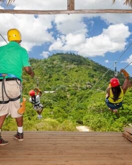 Zip Line