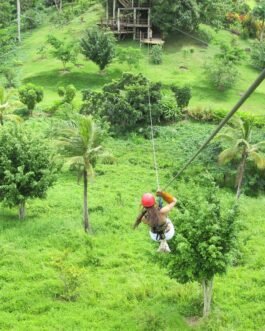 Zip Line